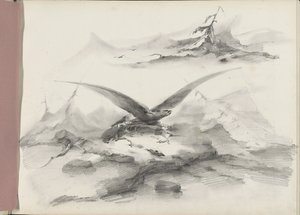 Ørn flyver over en kyst med bjerge