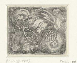 Granatæble og blade vinstokke af Albrecht Altdorfer