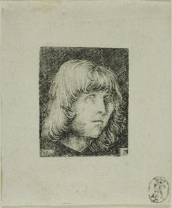 Leder af en ung mand af Albrecht Altdorfer