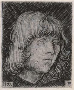 Hoved af en ung mand af Albrecht Altdorfer