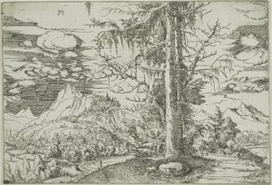 Landskab med en dobbelt gran af Albrecht Altdorfer
