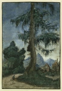 Landskab med gran af Albrecht Altdorfer