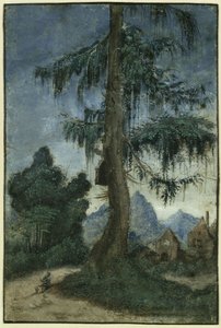 Landskab med gran af Albrecht Altdorfer