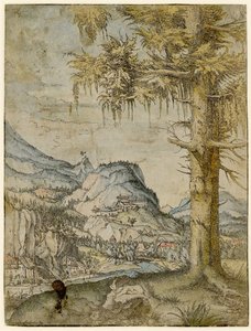Stor gran, ca 1517-1520.