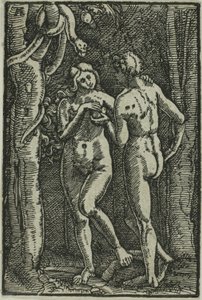 Menneskets Fald, fra Menneskets Fald og Forløsning af Albrecht Altdorfer