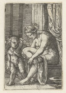 Venus efter badet af Albrecht Altdorfer