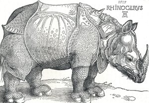 Et næsehorn, 1515, 1906 af Albrecht Dürer