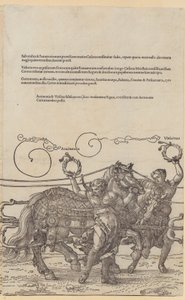  af Albrecht Dürer