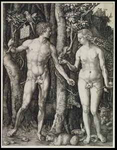  af Albrecht Dürer