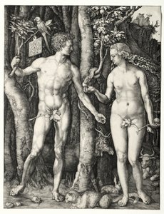 Adam og Eva af Albrecht Dürer