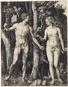 Adam og Eva af Albrecht Dürer