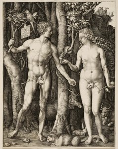 Adam og Eva af Albrecht Dürer
