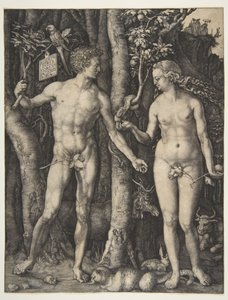  af Albrecht Dürer
