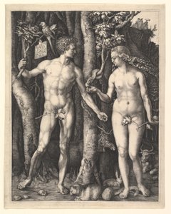  af Albrecht Dürer