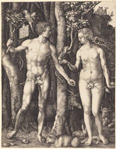  af Albrecht Dürer