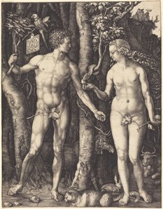  af Albrecht Dürer