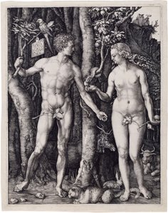  af Albrecht Dürer