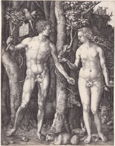  af Albrecht Dürer
