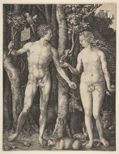 Adam og Eva af Albrecht Dürer
