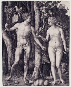  af Albrecht Dürer
