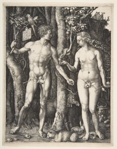 Adam og Eva, 1504 af Albrecht Dürer