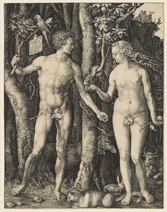 Adam og Eva, 1504 af Albrecht Dürer