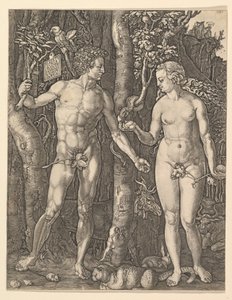 Adam and Eve, 1566. dani af Albrecht Dürer