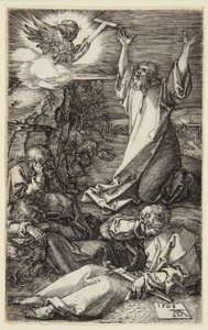  af Albrecht Dürer