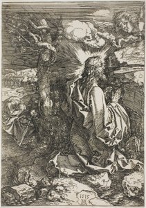 Kval i haven af Albrecht Dürer