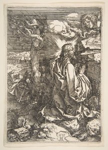 Kval i haven, 1515. af Albrecht Dürer
