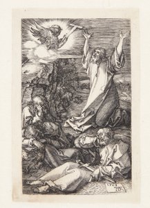 Kval i haven af Albrecht Dürer