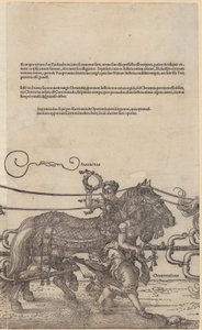  af Albrecht Dürer