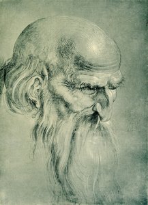 Apostelhoved af Albrecht Dürer
