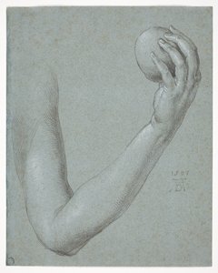Evas arm af Albrecht Dürer