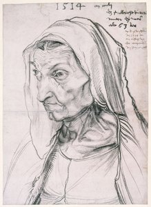  af Albrecht Dürer