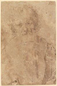  af Albrecht Dürer