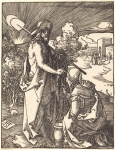  af Albrecht Dürer