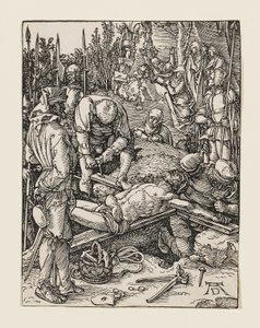  af Albrecht Dürer