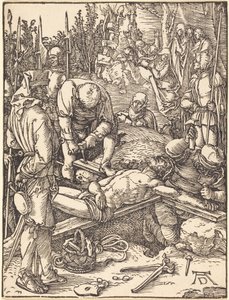  af Albrecht Dürer