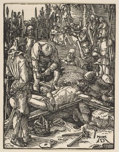 af Albrecht Dürer