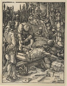  af Albrecht Dürer