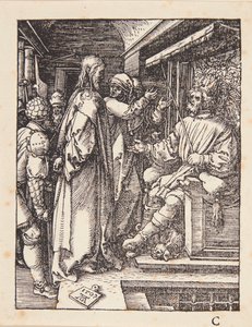  af Albrecht Dürer