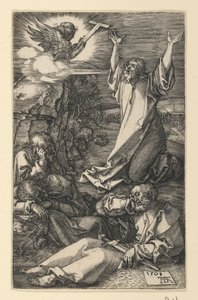  af Albrecht Dürer