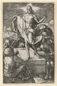  af Albrecht Dürer