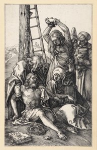  af Albrecht Dürer