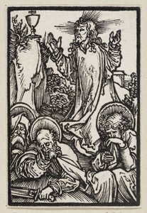  af Albrecht Dürer