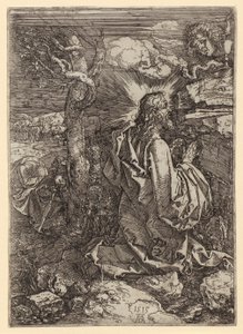  af Albrecht Dürer
