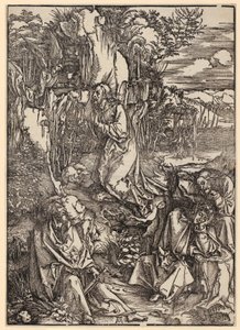  af Albrecht Dürer