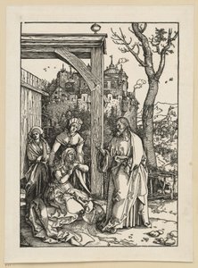  af Albrecht Dürer