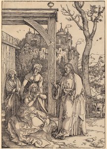  af Albrecht Dürer